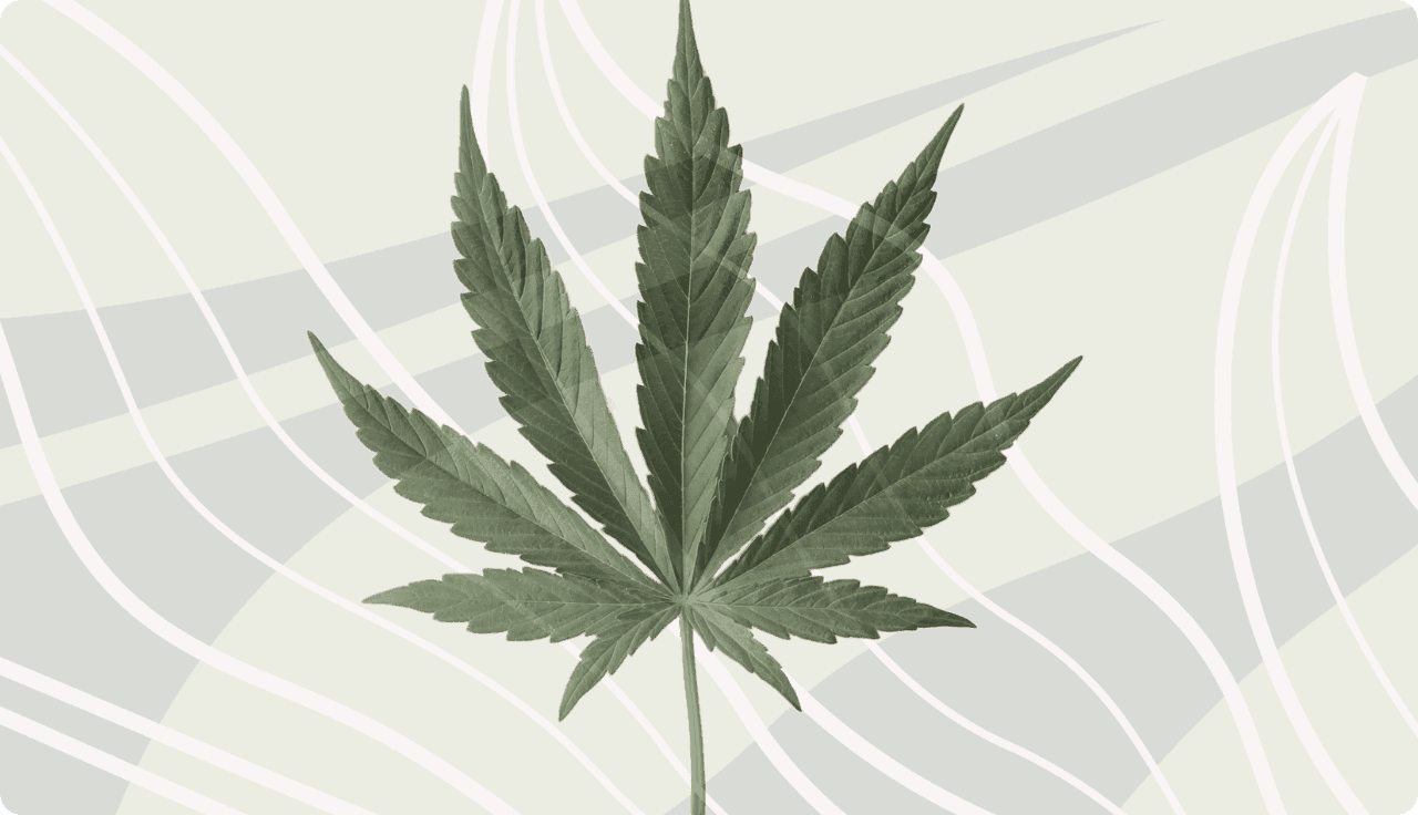 Cannabisblatt auf grünem Hintergrund